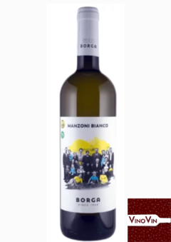 Vinho Manzoni Bianco Veneto IGT 2019 – 750 ml