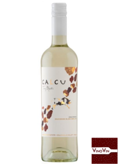 Vinho Calcu Tiny Blocks Gran Reserva Sauvignon Blanc - Semillón 2022 – 750 ml - comprar online