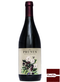 Vinho Prunus Dão DOC 2020 - 750 ml