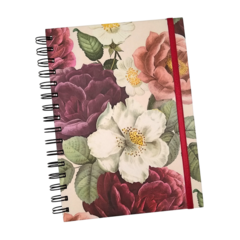 Cuaderno · Bloom