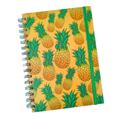 Agenda 2024 - Pineapple