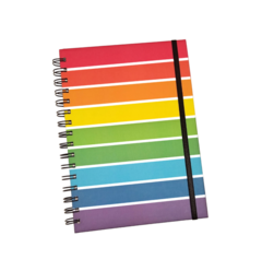 Agenda 2024 - Rainbow Stripes
