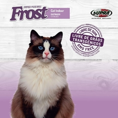 Frost Cat Indoor na internet
