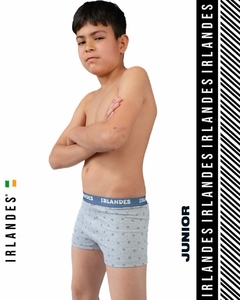 Imagen de Boxer Irlandes Para Nenes