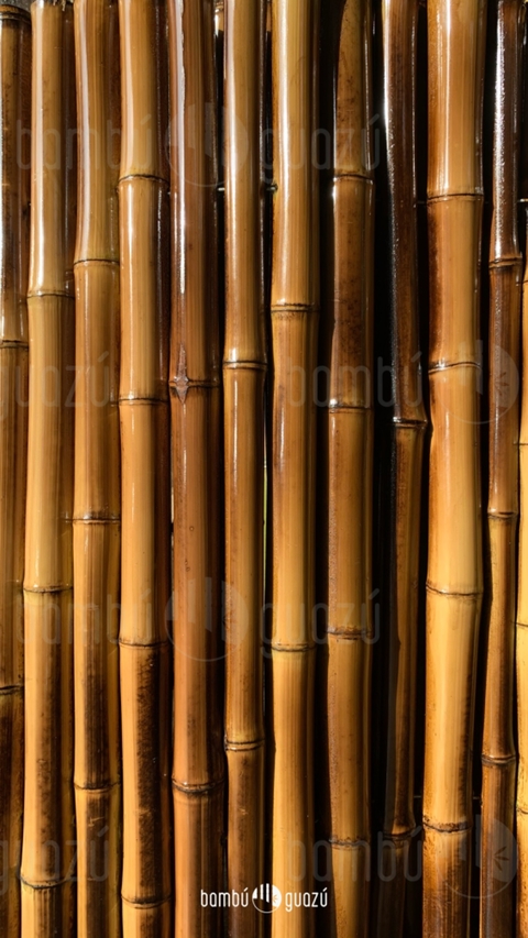 Caña Tacuara Bambú Decoración Tirante Cañas 4 Metros. Envíos