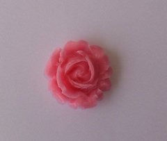 M99 Molde De Silicone Rosa 2,5 cm - Para Culinária / Confeitaria - Coisas da  Lua