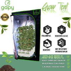 GAPY Tienda Indoor Hidropónica Calidad Premium, Armario de Cultivo para Interior, Grow Tent 120*120*200 cms Mylar 600 D de Alta Densidad. Fácil de Instalar, máxima Calidad y Durabilidad - tienda en línea