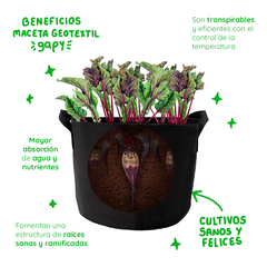Gapy Maceta De Cultivo Geotextil Premium 5 Galones Con Asas - La Mejor Opcion by Creative Planet