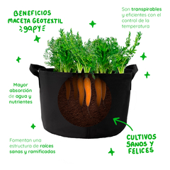 Gapy Maceta De Cultivo Geotextil Premium 10 Galones Con Asas - tienda en línea