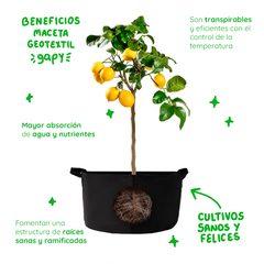 Gapy Maceta De Cultivo Geotextil Premium 20 Galones Con Asas - La Mejor Opcion by Creative Planet