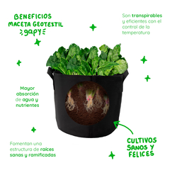 Gapy Maceta De Cultivo Geotextil Premium 3 Galones Con Asas - online store
