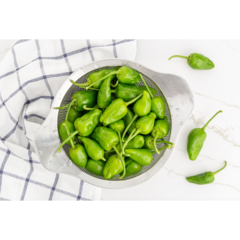 Gapy 50 Semillas pimiento padron Origen españa - tienda en línea