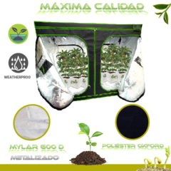 GAPY Tienda Indoor Hidropónica Calidad Premium, Armario de Cultivo para Interior, Grow Tent 240*240*200 cms Mylar 600 D de Alta Densidad. Fácil de Instalar, máxima Calidad y Durabilidad - La Mejor Opcion by Creative Planet