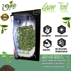 GAPY Gorila Grow Tent Tienda Indoor Hidropónica Calidad Premium, Armario de Cultivo para Interior, 90*90*210/240 cms Mylar 600 D de Alta Densidad. Fácil de Instalar, máxima Calidad y Durabilidad