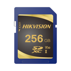 HIKVISION Memoria SD Clase 10 de 256 GB / Especializada Para Videovigilancia MOD: HS-SD-P10/256G