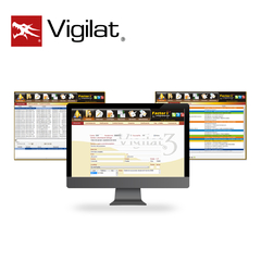 VIGILAT SERVICIO DE RESPALDO PARA BASE DE DATOS, , , EN TIEMPO REAL, EN SERVIDORES PROPIEDAD DE VIGILAT, CAPACIDAD DE ALMACENAMIENTO DE HASTA 100MB DE DATOS EN GENERAL. VRN-100