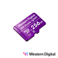 WESTERN DIGITAL WDD256G1P0C