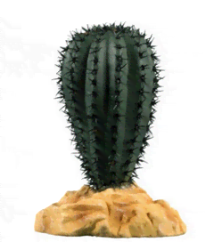 Planta Cactus Saguaro ZL