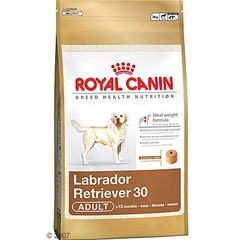 Royal Canin Labrador Retriever 30 13.63 Kg- Adultos a partir de los 15 meses de edad.