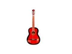 Guitarra Criolla Radalj en internet