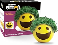 Maceta decorativa de emoji con semillas de Chia