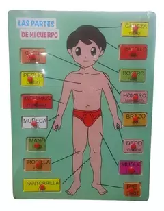 Rompecabezas De Madera Partes Del Cuerpo Encajable Niños