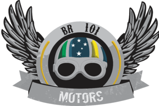 BR101 MOTORS