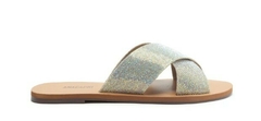 Chinelo Slide Prata Anacapri