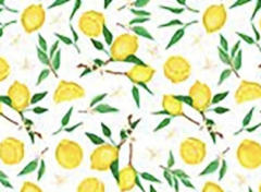 Individuales limones x10
