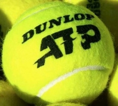 Dunlop ATP x3 (extra duty) - comprar online