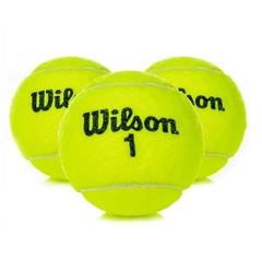 Wilson Championship Extra Duty x3 - comprar online