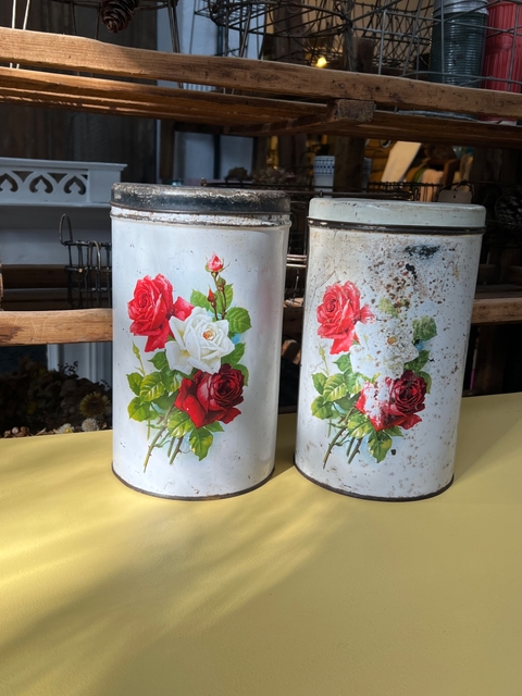 Latas roses