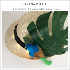 Panamá RIO LED en internet