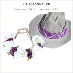 Kit Borgoña LED en internet
