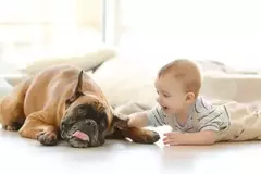 colchón para bebé o mascotas
