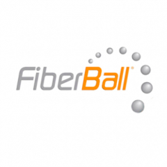 logo fiberball