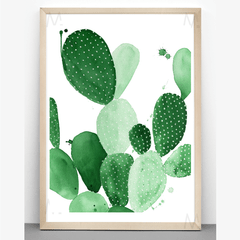 Cactus - comprar online