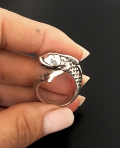 Anillo KOI en internet