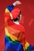 Boina Rainbow Roja - Fabricada en Uruguay en internet