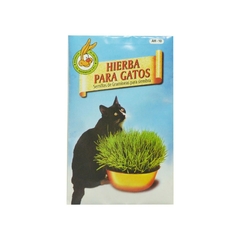 HIERBA PARA GATOS