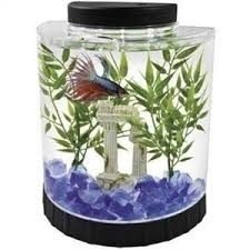 TETRA LED HALF MOON, BETTA K