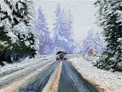 Ruta 40 nevada