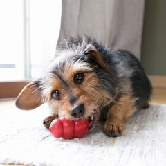 Juguete Para Perros Kong Classic - LaikaPet!