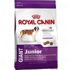 Royal Canin Giant Junior