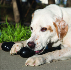 Kong Goodie Bone Extreme - Juguete En Forma de Hueso Para Perros