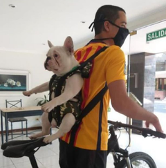 Mochila Transportadora Para Perros