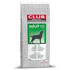 CLUB CC ADULTO
