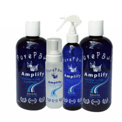 AMPLIFY KIT 4 PURE PAWS - buy online
