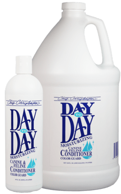 DAY TO DAY CONDITIONER