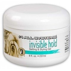 INVISIBLE HOLD #1 ALL SYSTEMS